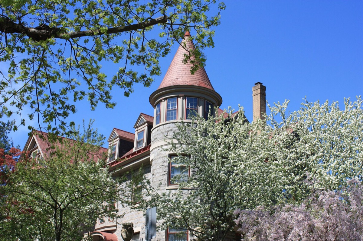 Elkins Park neighborhood street in Cheltenham Township, Montgomery County PA